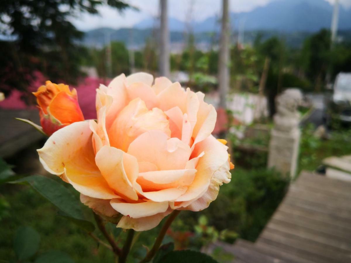 Dao Bian Inn Zhangjiajie Εξωτερικό φωτογραφία